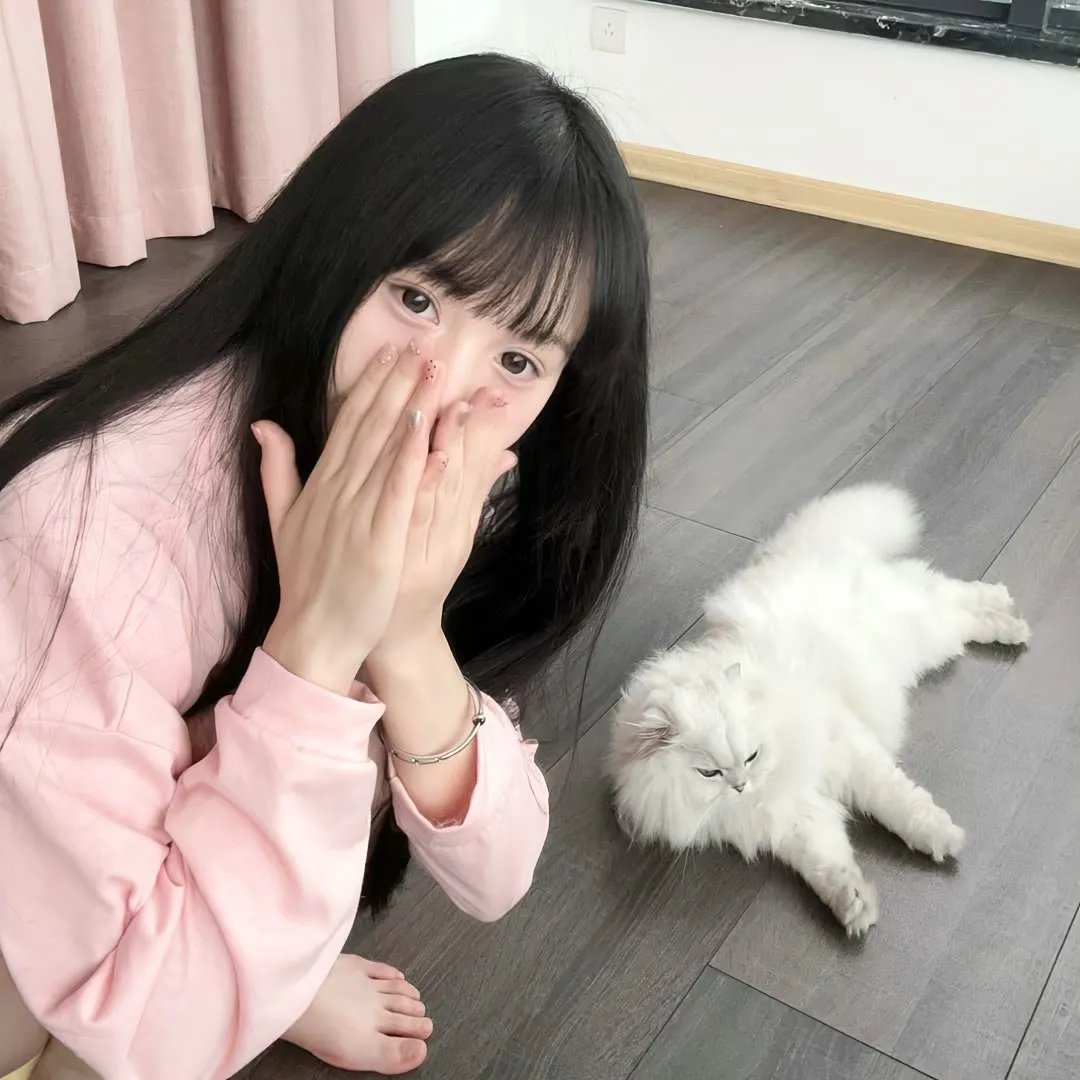 玉女求凰