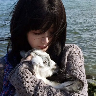 布里斯比熊